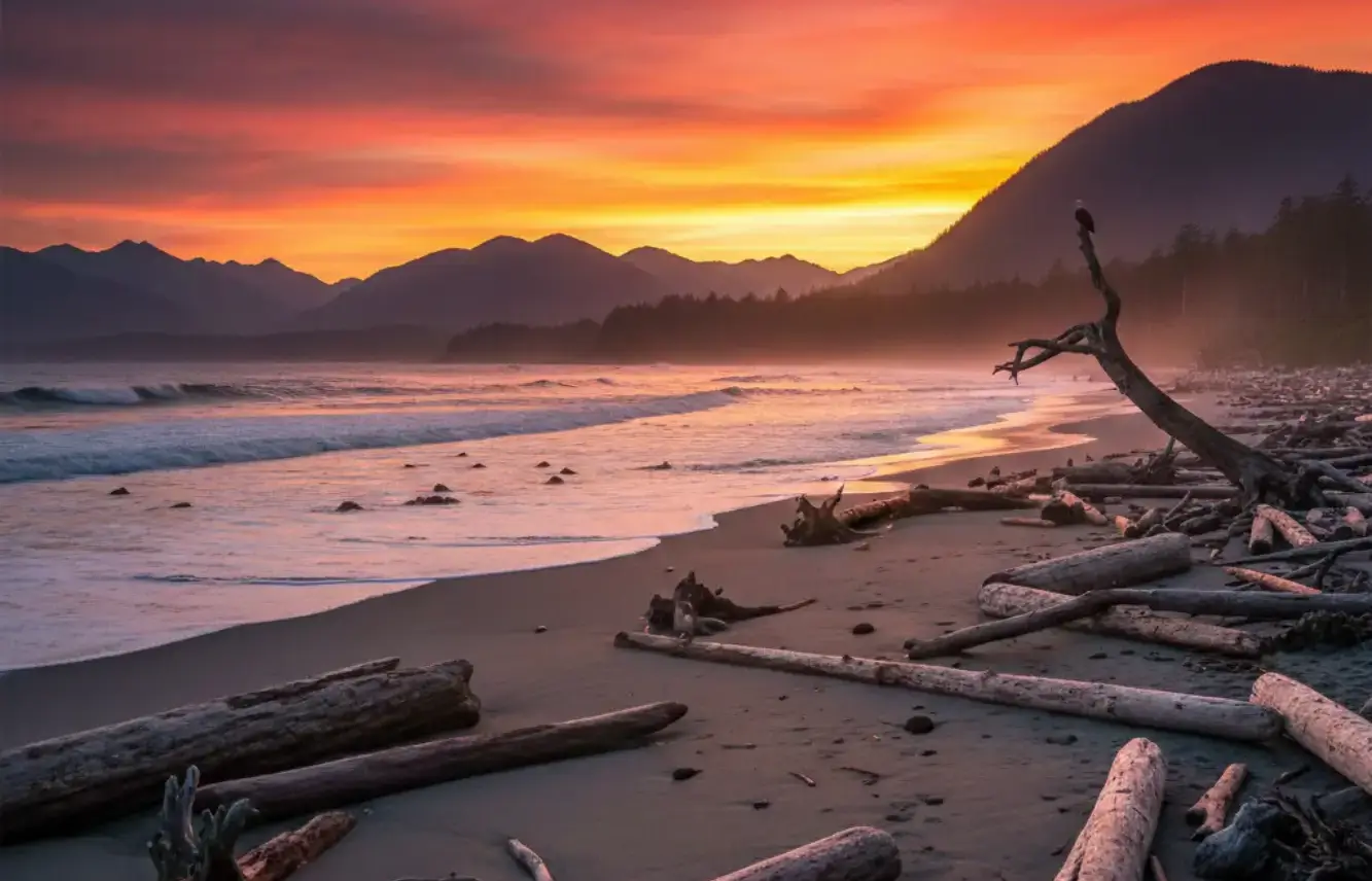 Ukritic Results-Driven Development