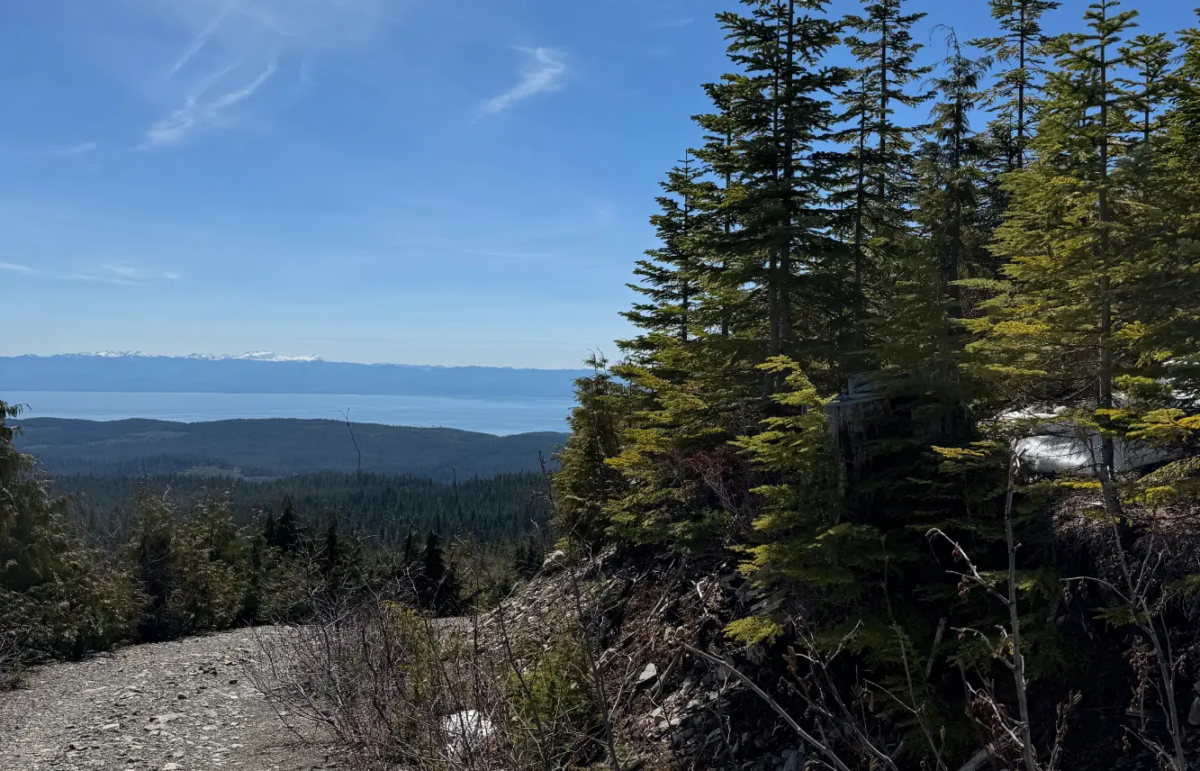 Ukritic Custom Solutions That Work