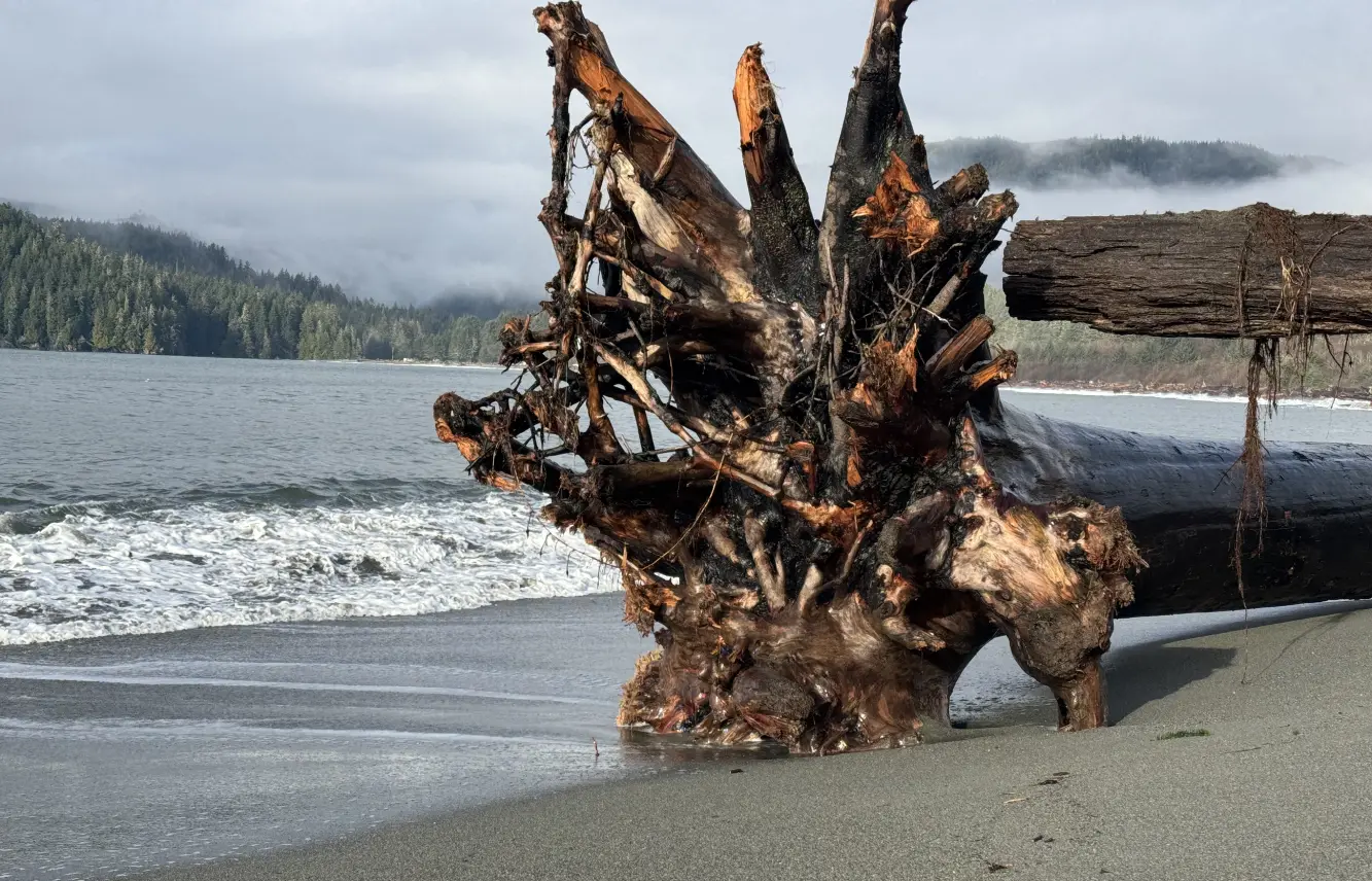 Ukritic Scalable & Reliable Teams