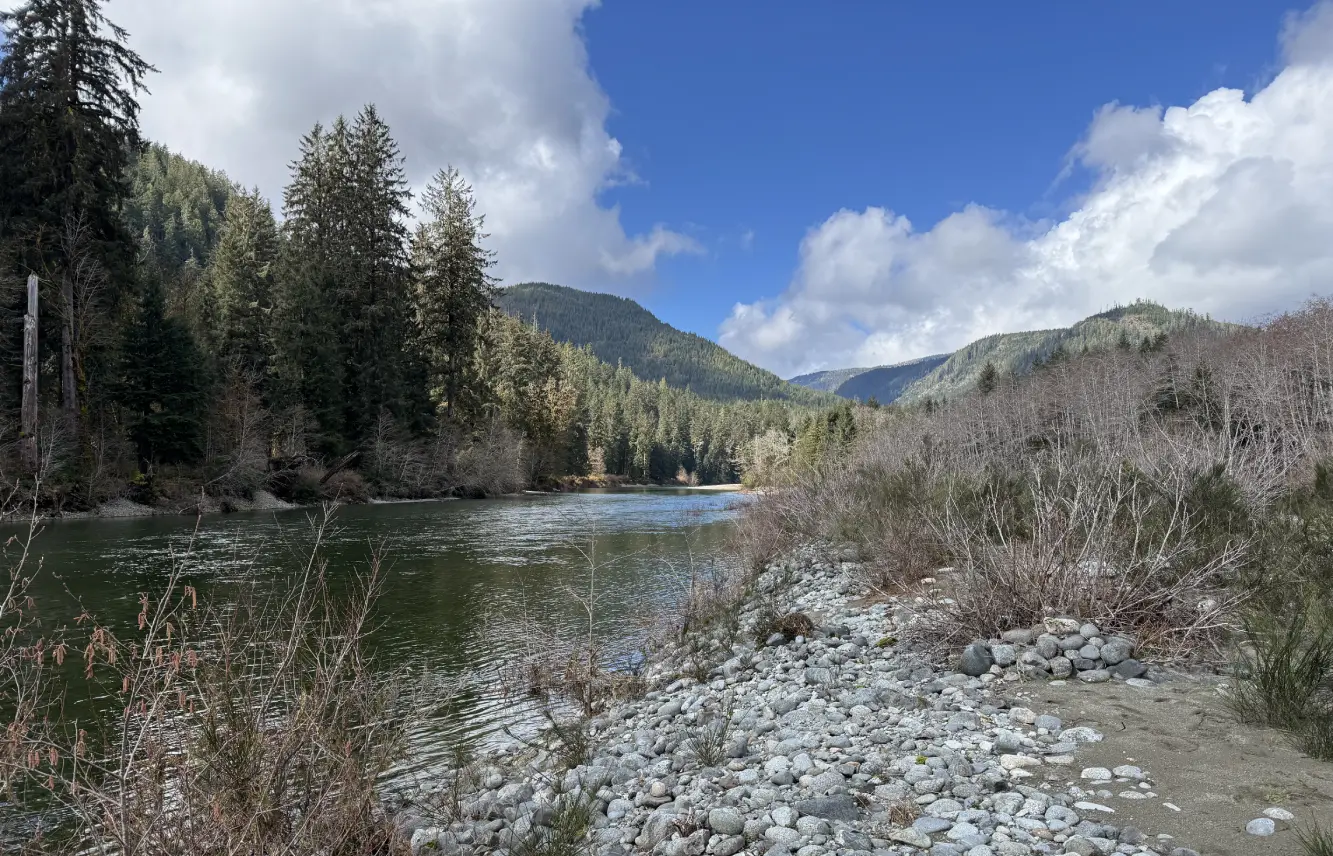 Ukritic Scalable & Reliable Teams